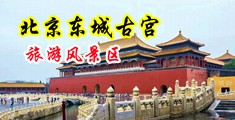 操大逼乱伦免费视频中国北京-东城古宫旅游风景区